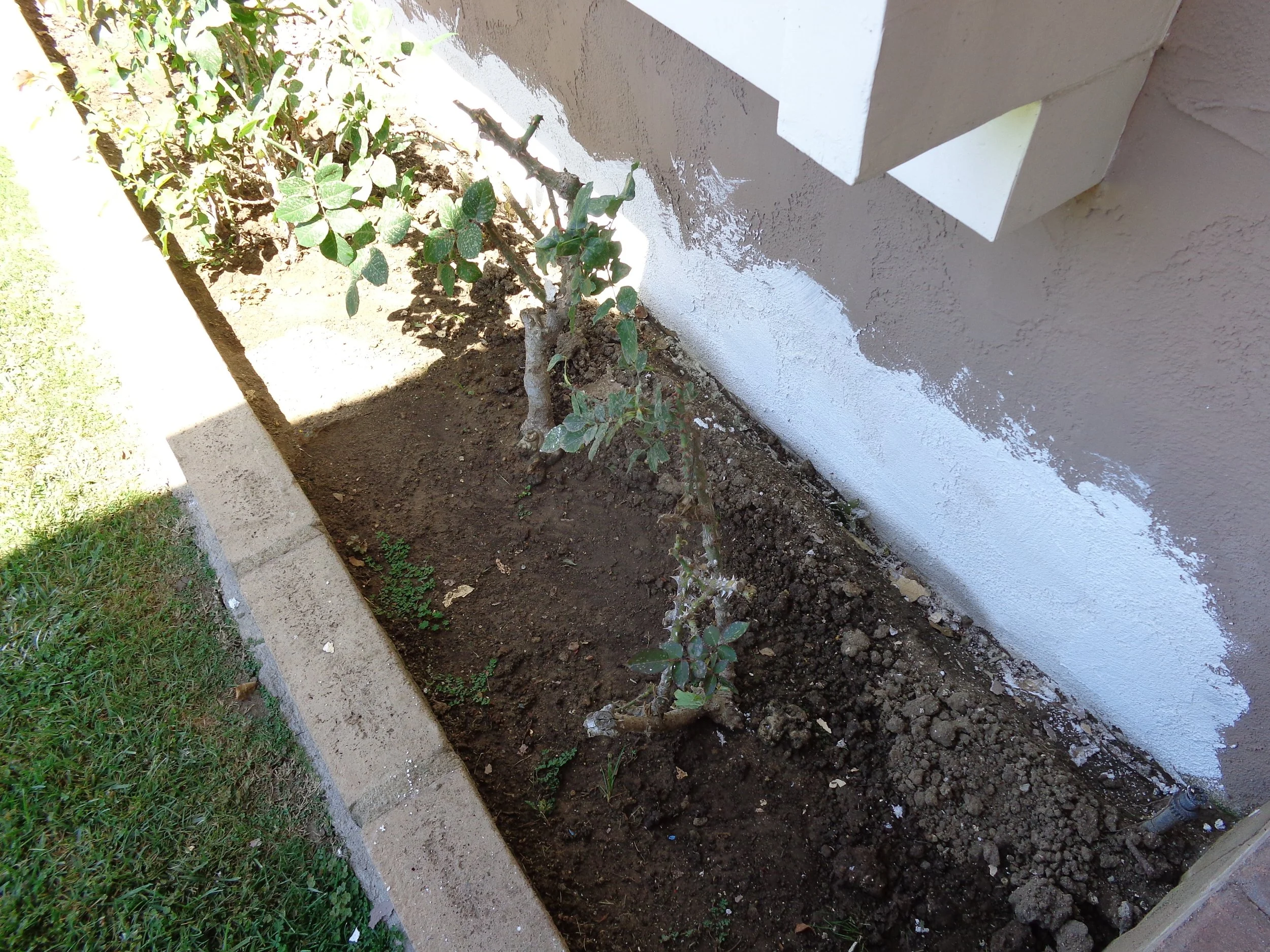Exterior painting - trenching