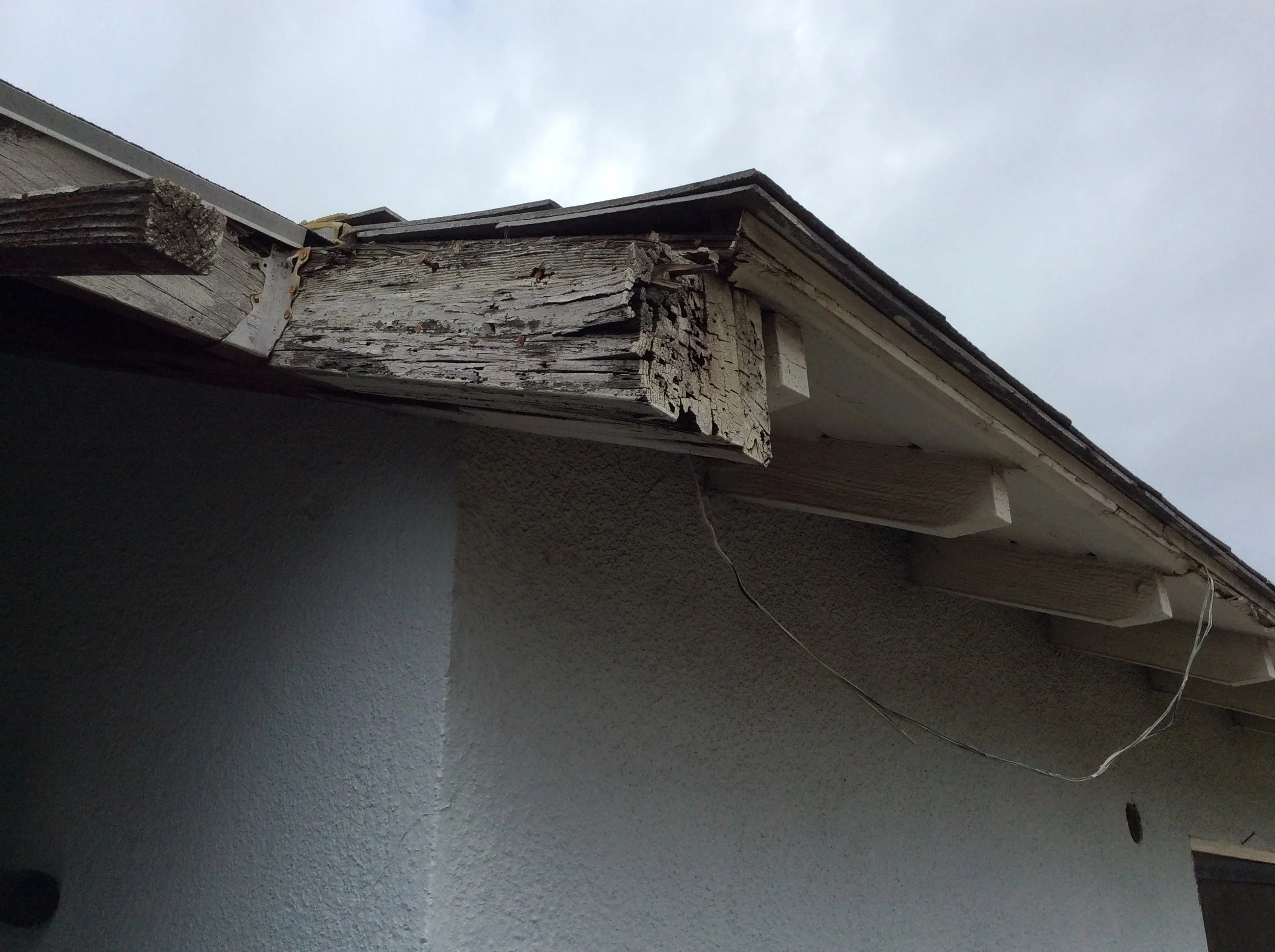 Free exterior inspection