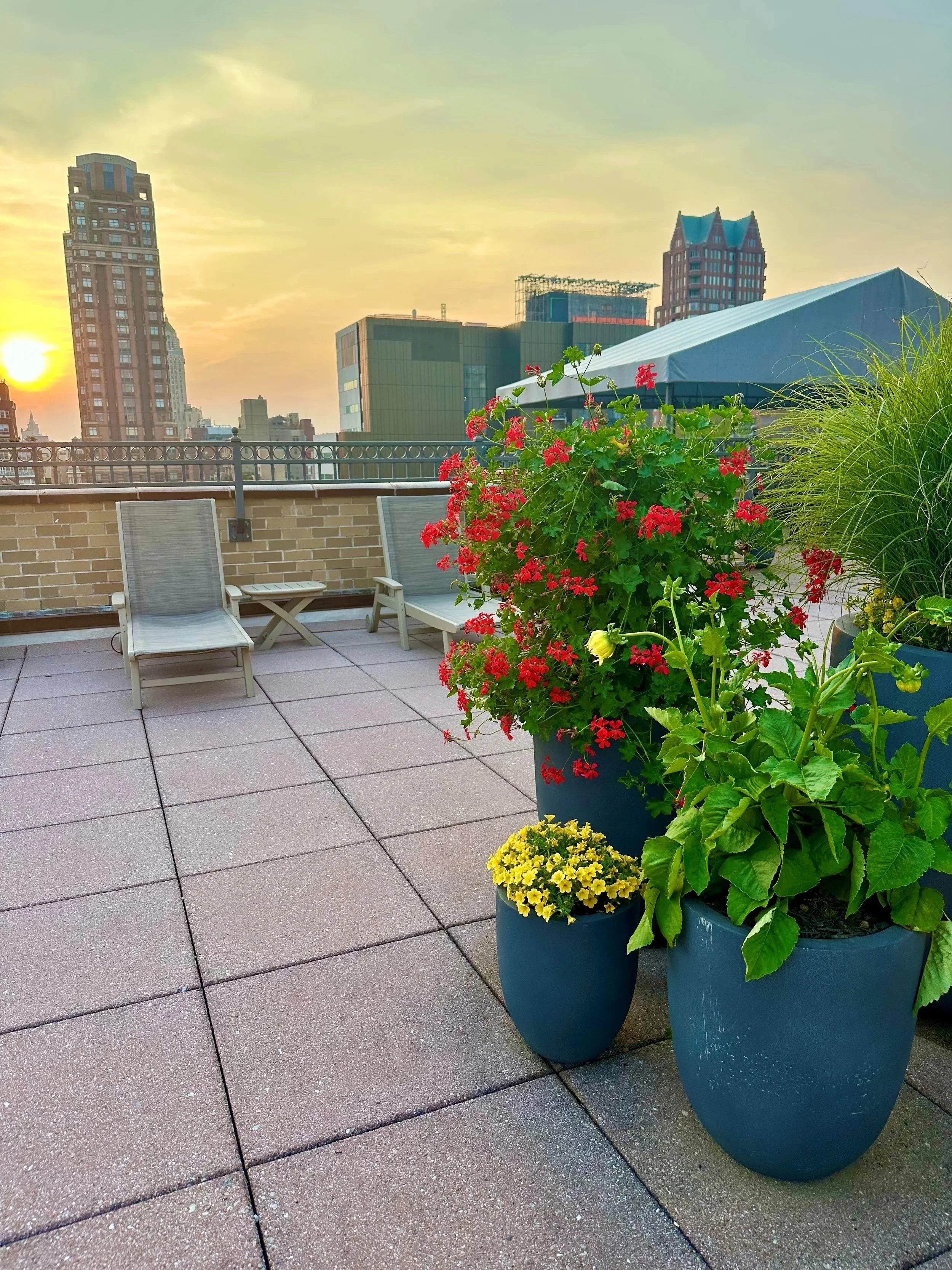 Roof Deck Garden meetup