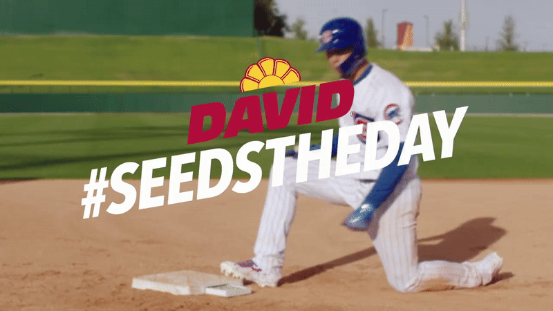 davidseedstitlegif-ezgif.com-video-to-gif-converter.gif