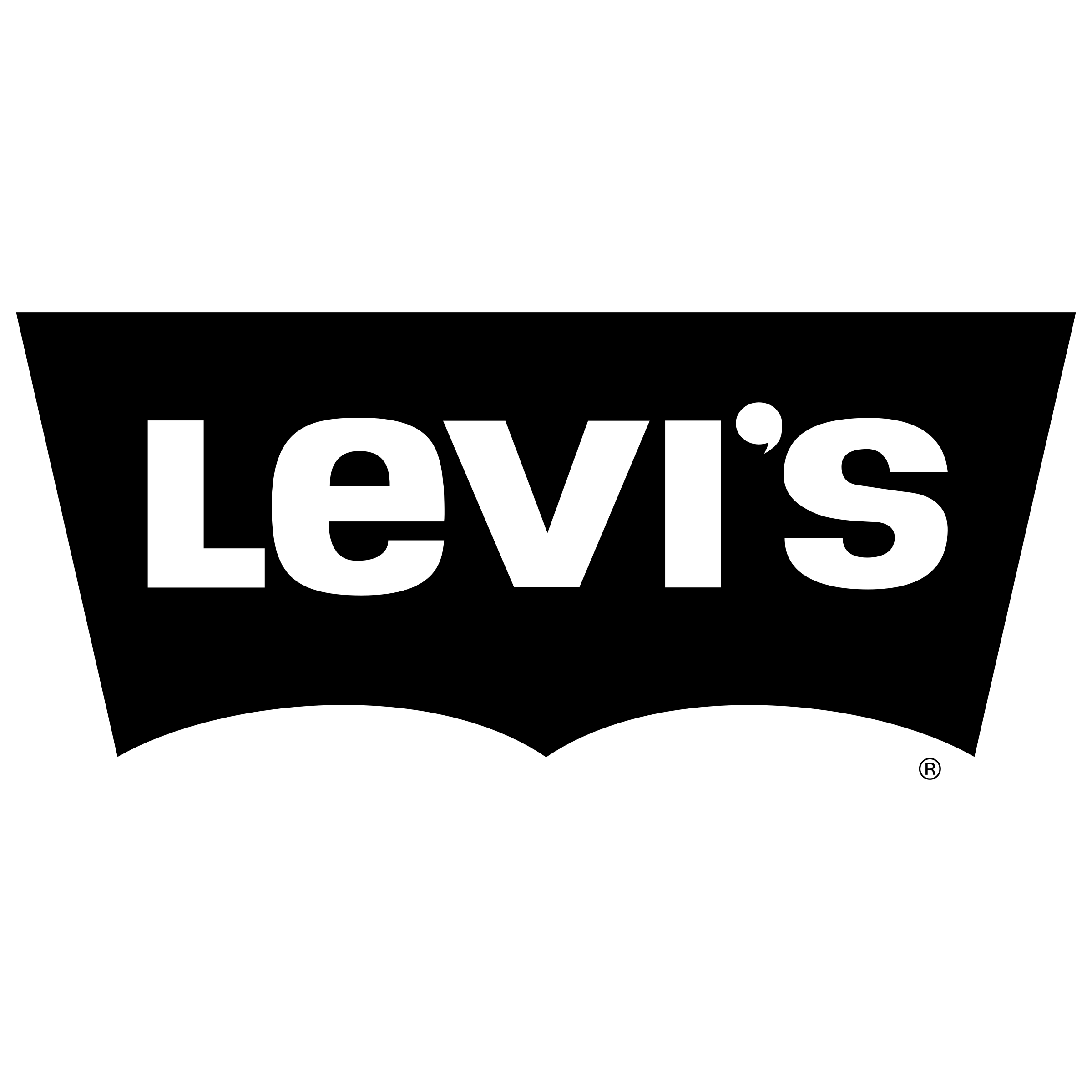 Levis-Transparent-File.png