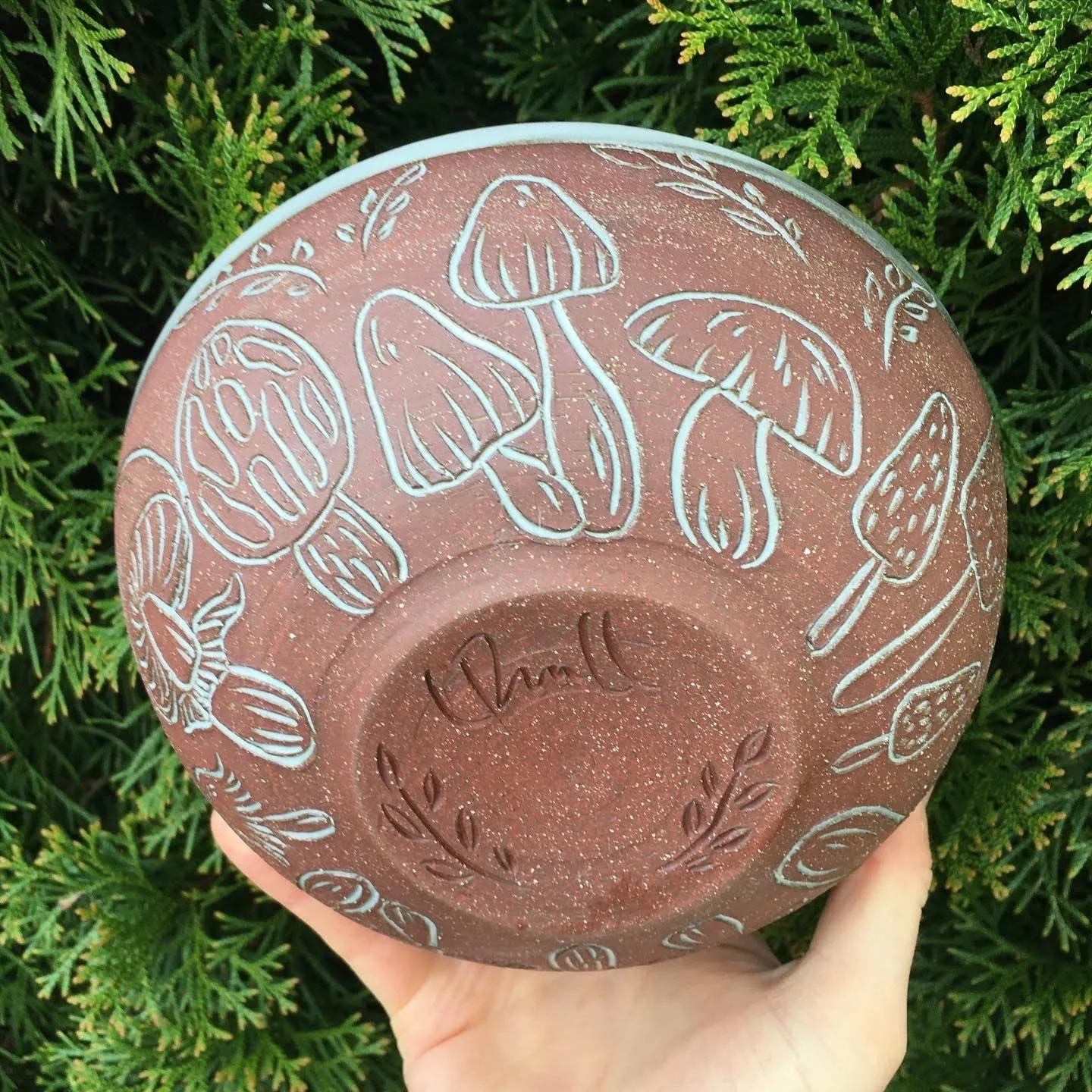 Red Mushroom Bowl.jpg