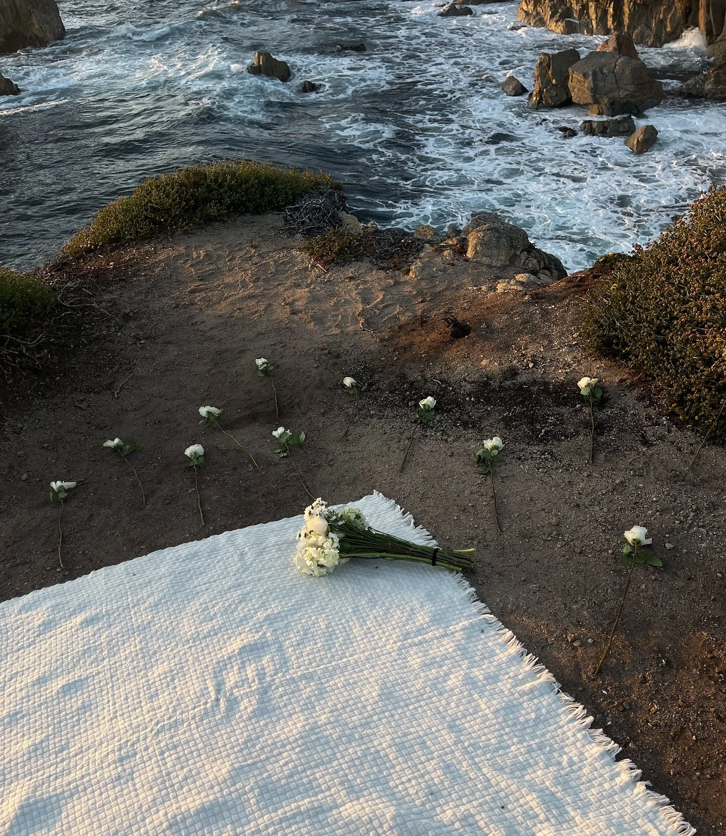 1 year from saying yes to forever 💐