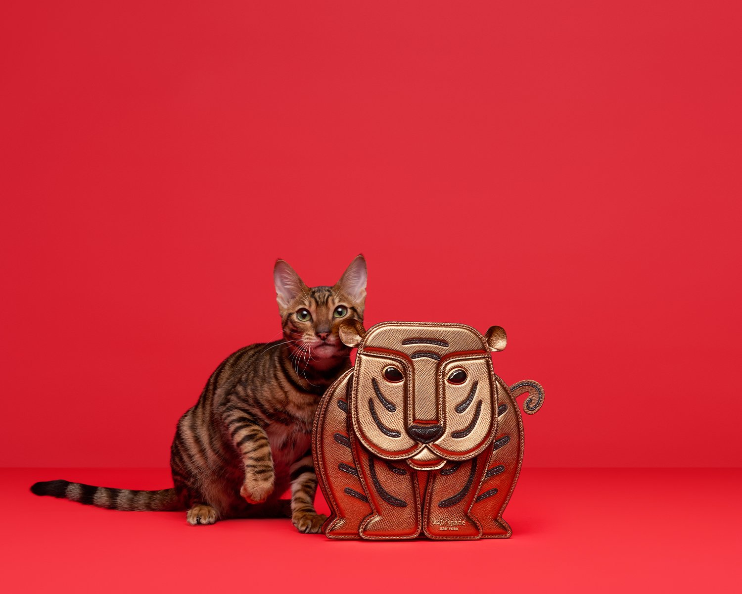 Glitter, the Toyger