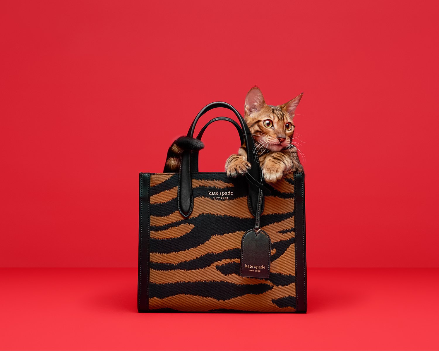 Glitter, the Toyger