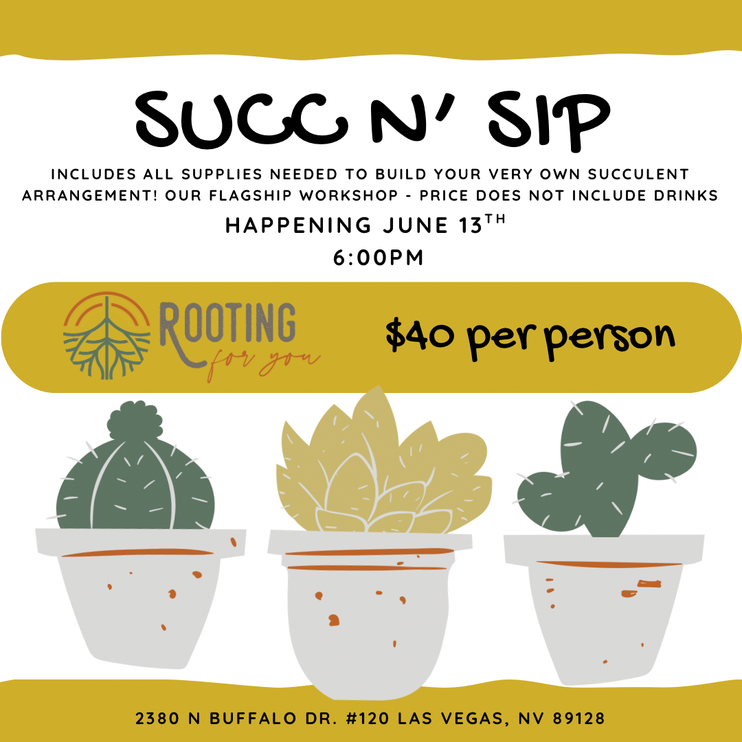 Event flyer for a succulent planting activity called 'Succ n' Sip,' happening on May 9th at 3:30 PM at 2380 N Buffalo Dr., Las Vegas, NV. All supplies included, cost $40 per person. The flyer features illustrations of three potted succulents and a logo reading 'Rooting for You' with a tree and sun design.