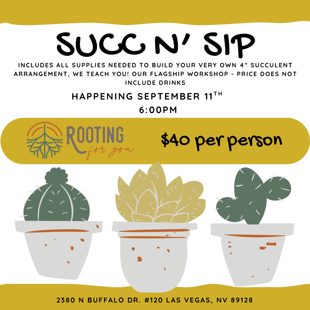 Event flyer for a succulent planting activity called 'Succ n' Sip,' happening on May 9th at 3:30 PM at 2380 N Buffalo Dr., Las Vegas, NV. All supplies included, cost $40 per person. The flyer features illustrations of three potted succulents and a logo reading 'Rooting for You' with a tree and sun design.