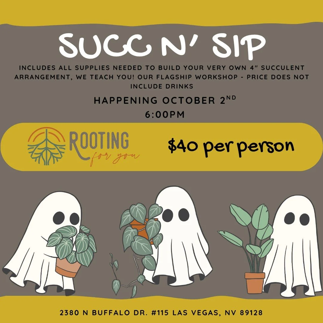 A flyer for a succulent arranging event called 'Succ N' Sip' happening on May 23rd at 3:00 PM, costing $40 per person, including supplies but not drinks. The event features a workshop called 'Rooting for You' and includes illustrations of three potted succulents. The location is 2380 N Buffalo Dr. #120, Las Vegas, NV 89128.