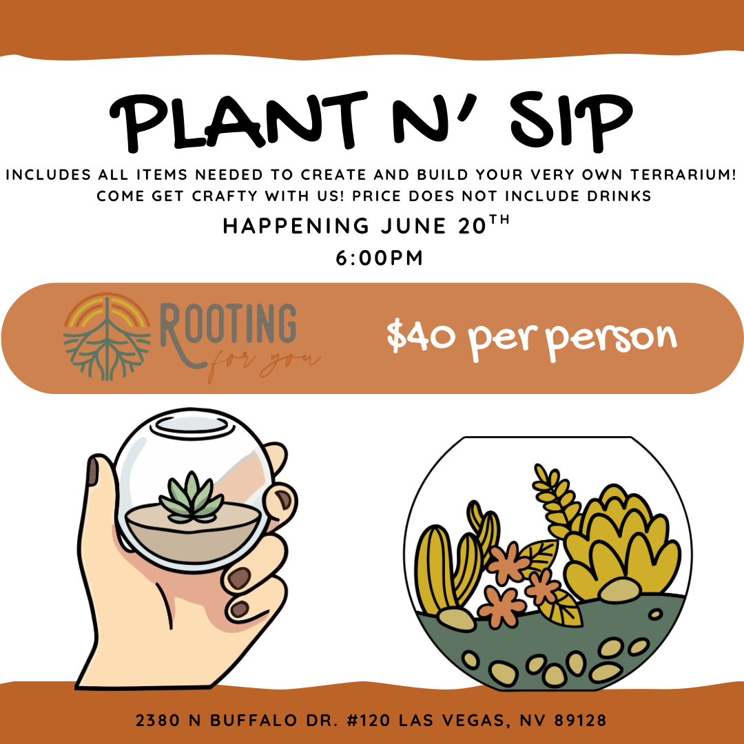 Flyer for a terrarium building event called 'Plant N' Sip,' scheduled for May 29th at 6:00 PM at 2380 N Buffalo Dr. #120 Las Vegas, NV, with a cost of $40 per person. The flyer features illustrations of a hand holding a small glass terrarium with a succulent inside and a larger terrarium with plants and decorative stones. The event includes all necessary items to build a terrarium, with drinks not included.