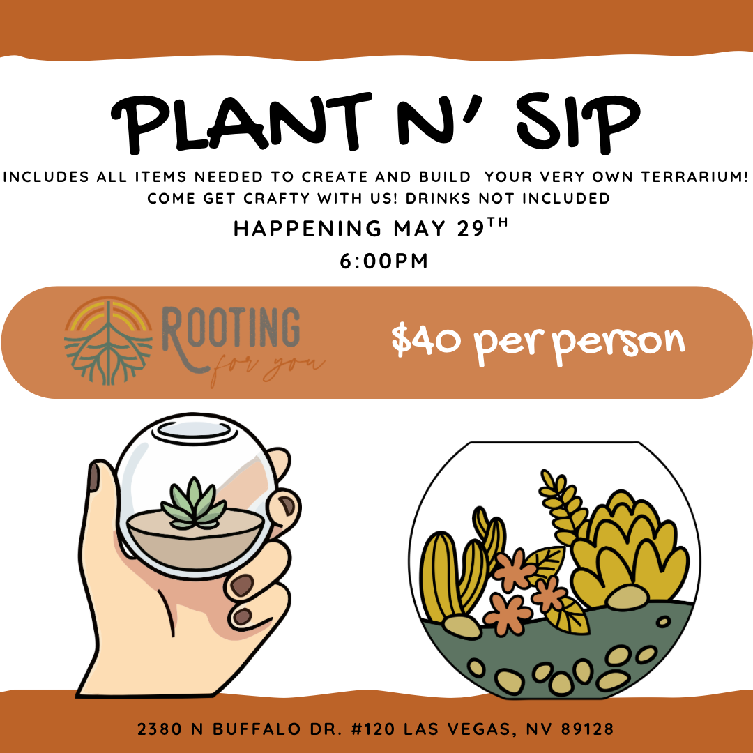 Flyer for a terrarium building event called 'Plant N' Sip,' scheduled for May 29th at 6:00 PM at 2380 N Buffalo Dr. #120 Las Vegas, NV, with a cost of $40 per person. The flyer features illustrations of a hand holding a small glass terrarium with a succulent inside and a larger terrarium with plants and decorative stones. The event includes all necessary items to build a terrarium, with drinks not included.