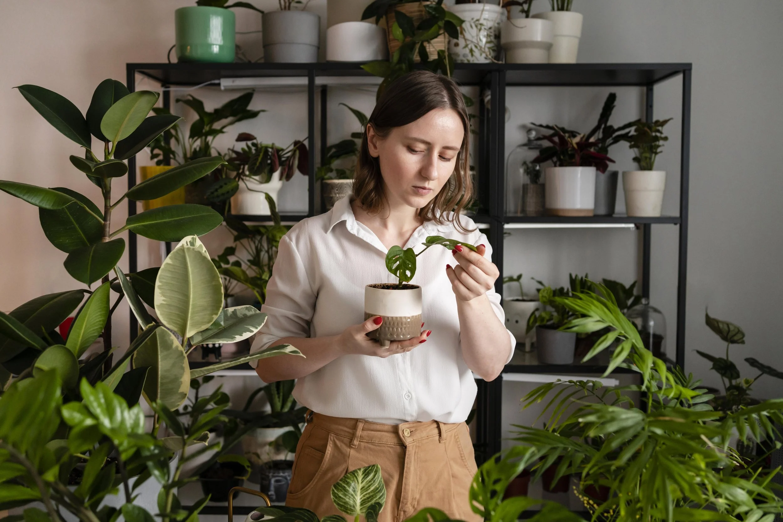 Interior plant designer Las Vegas caring for indoor plants