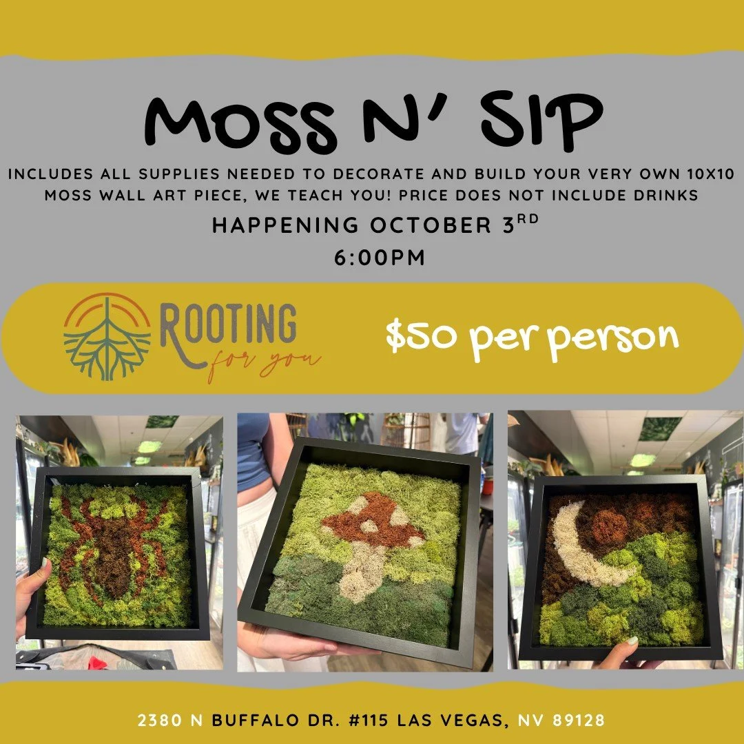 Event flyer for Moss N' Sip