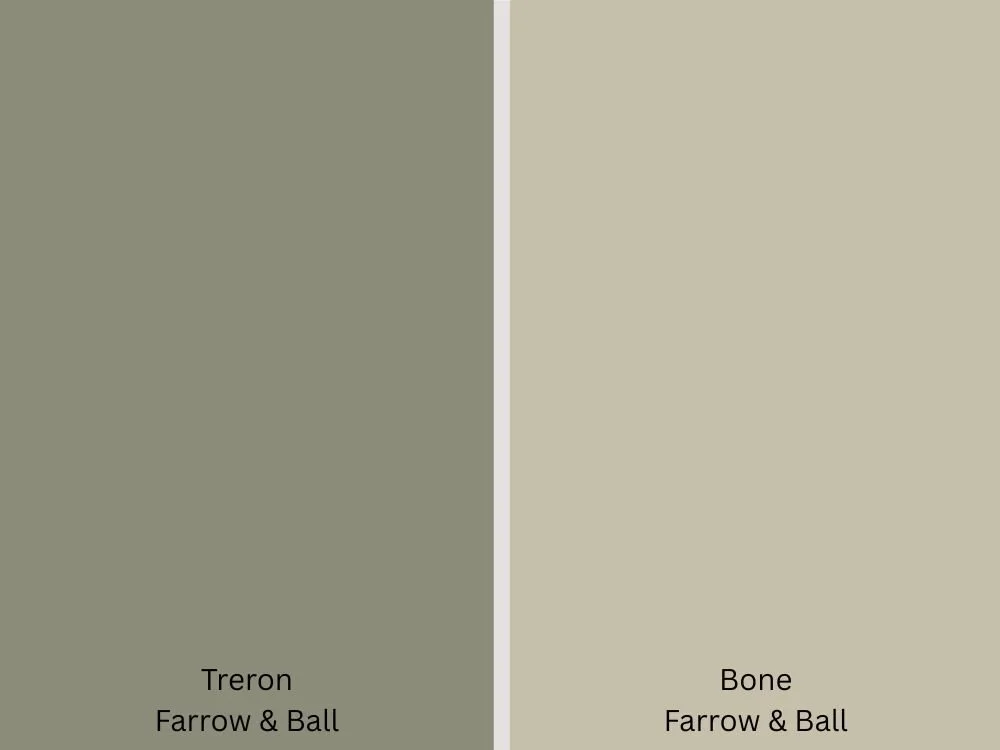 Neoclassical revival paint swatches of treron and bone.