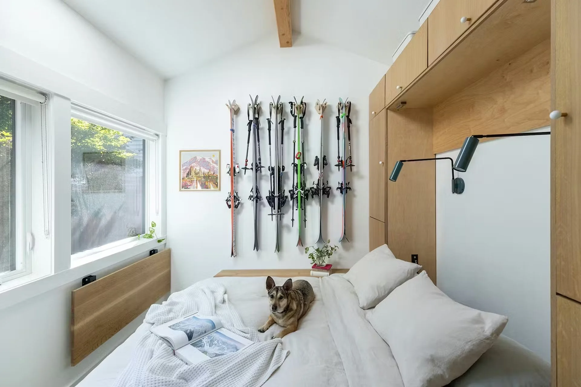 A Murphy bed in a shed with a dog on it.