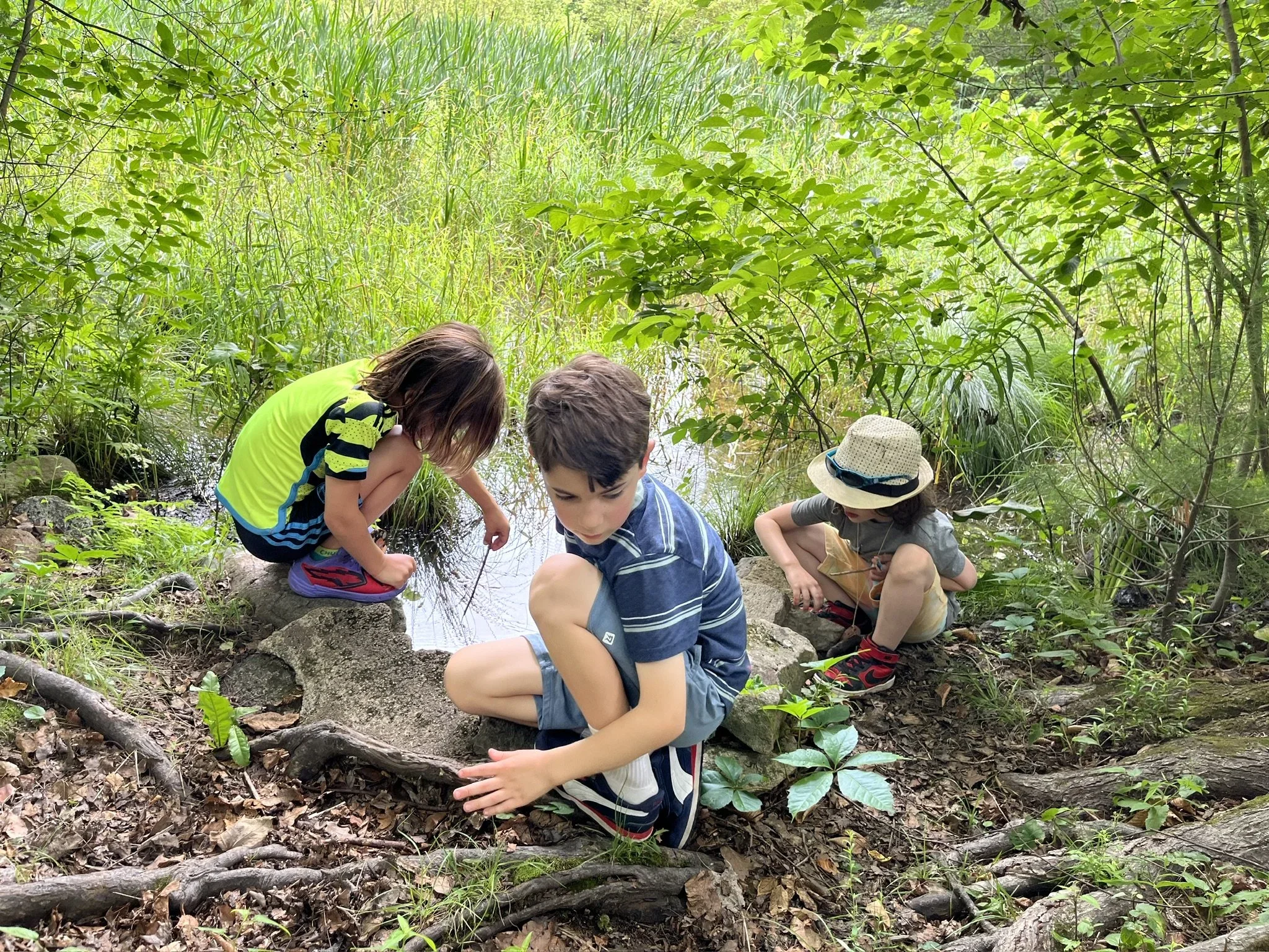 Summer Extended Day: Week One