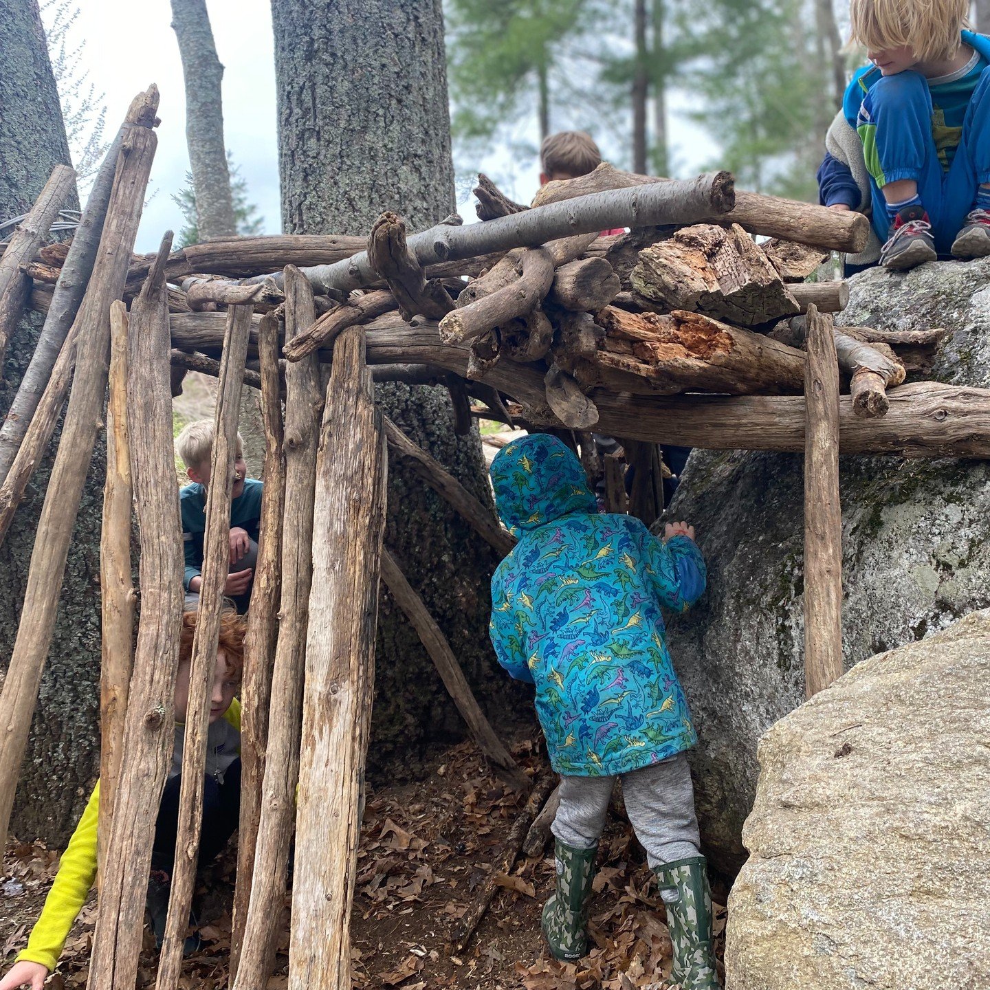 One of Birches' many forts was under extensive renovation today, thanks to a hard-working team of PreK and K-1 students! Negotiating, planning, experimenting, collaborating, problem-solving, communicating--all of these essential skills were on displa