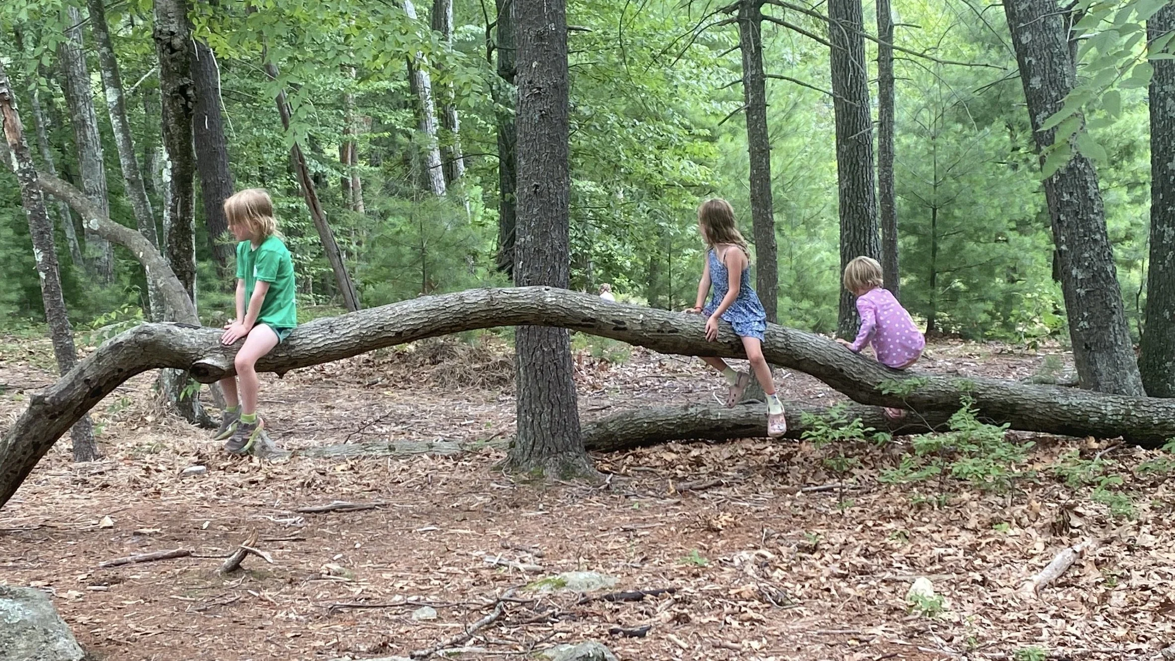 Summer Explorations: Week Three