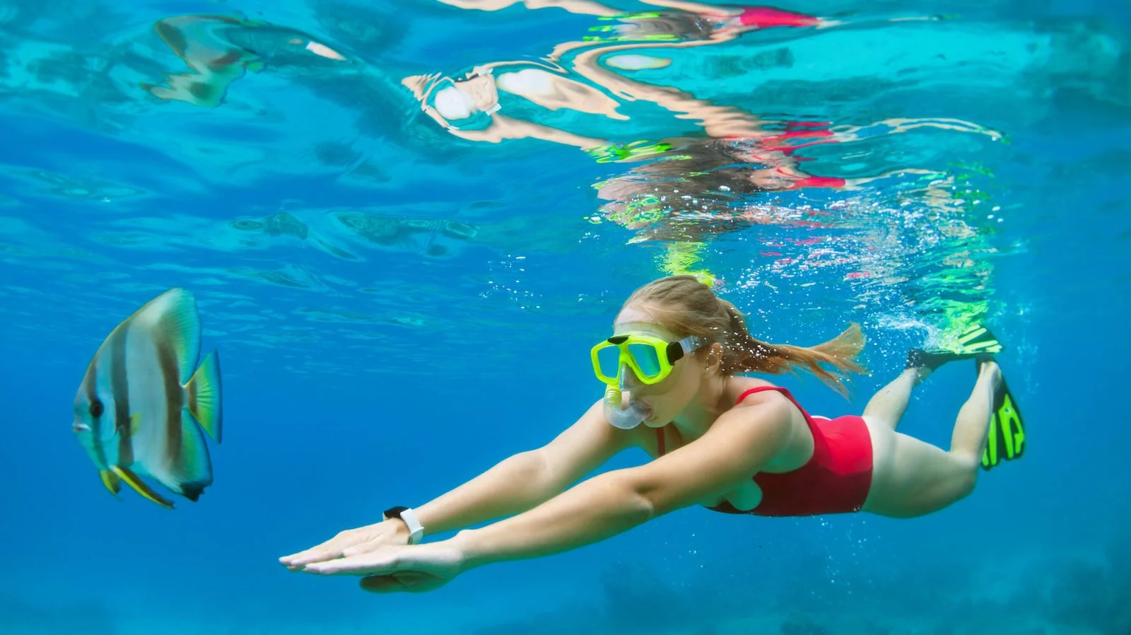 Snorkeling Trips & Tours Roatan, Snorkeling Roatan, Snorkeling Trips