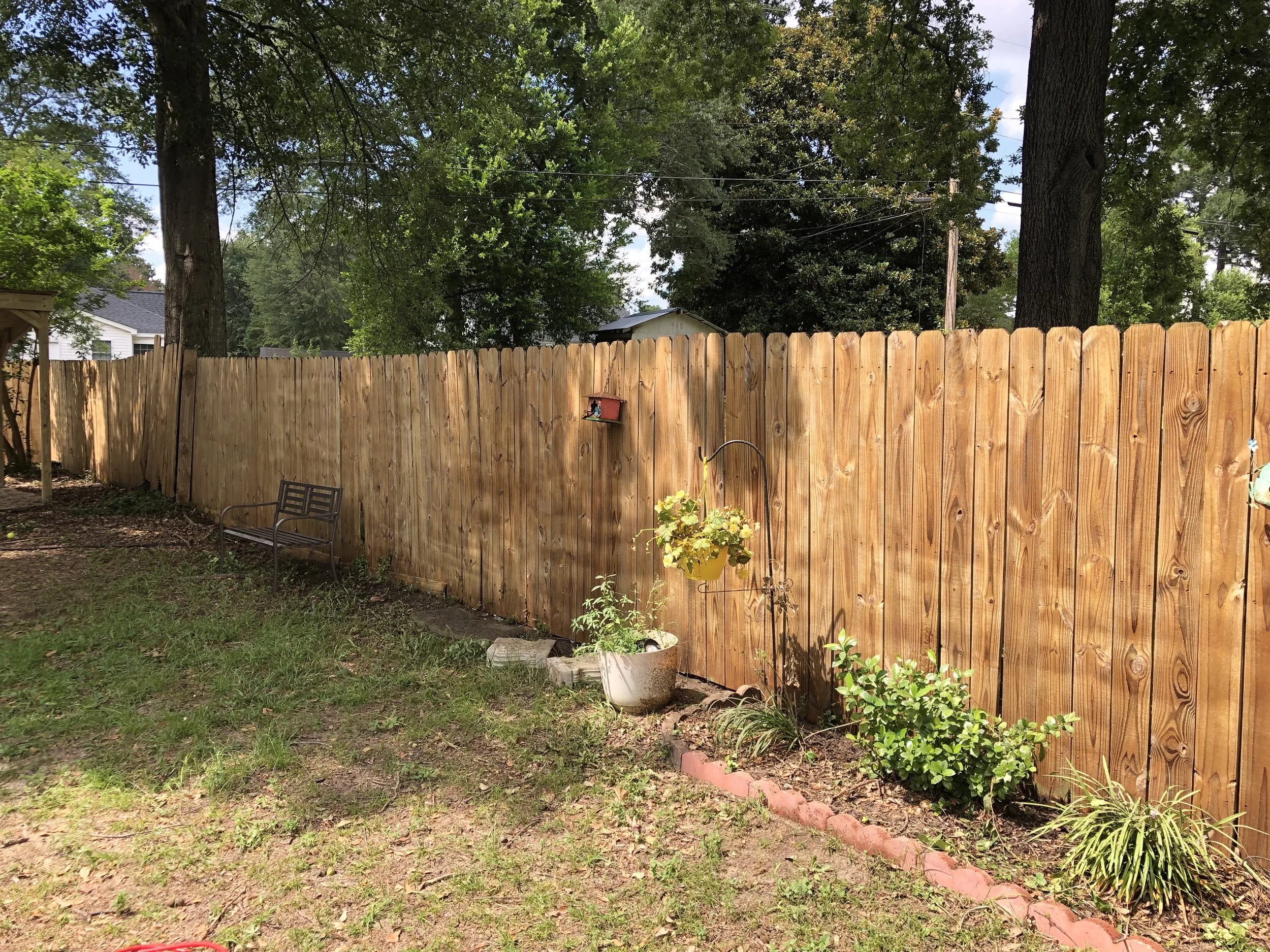 Mold Damaged Fence - After