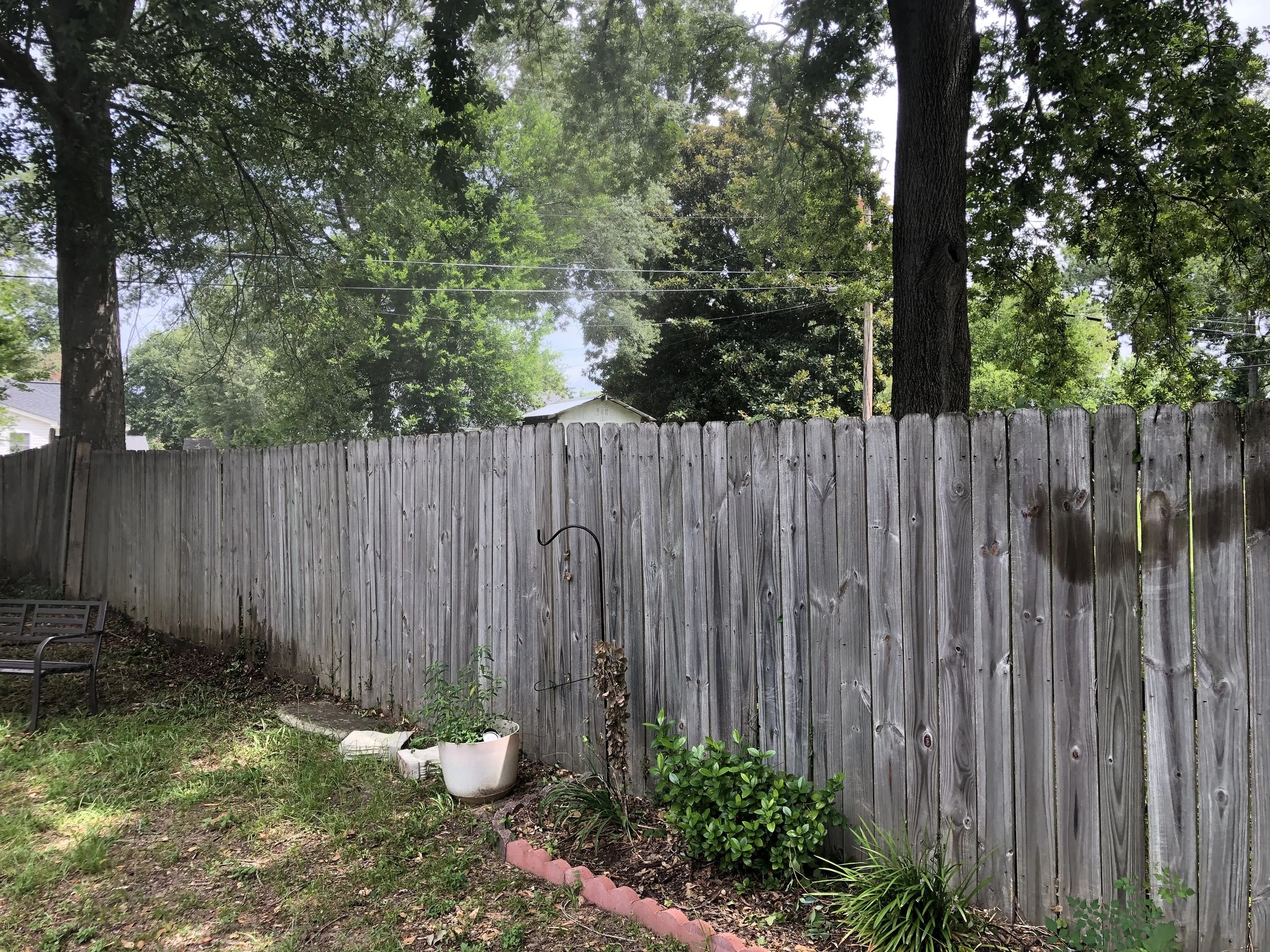 Mold Damaged Fence - Before