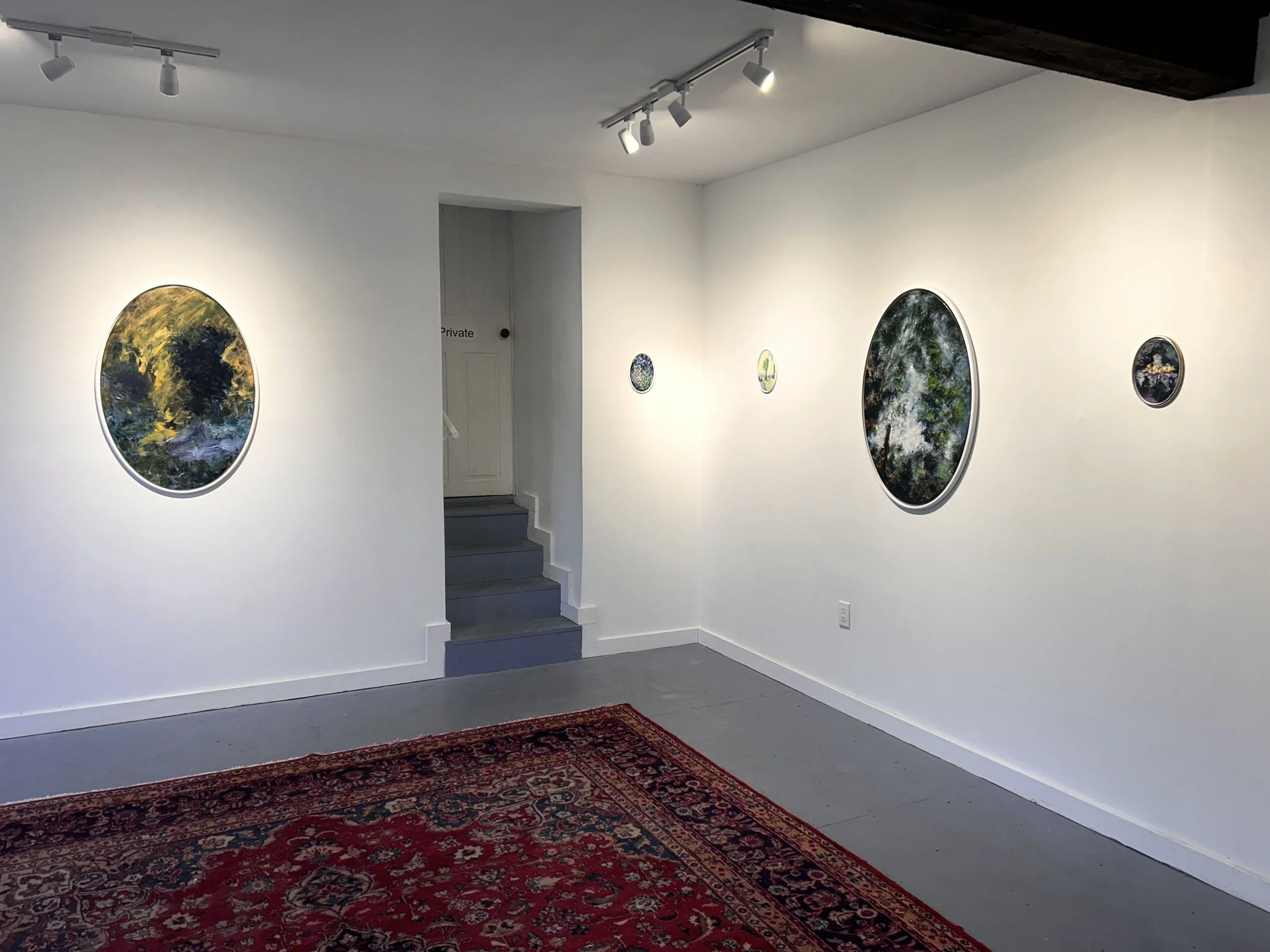 On Nature: Shaun McDowell