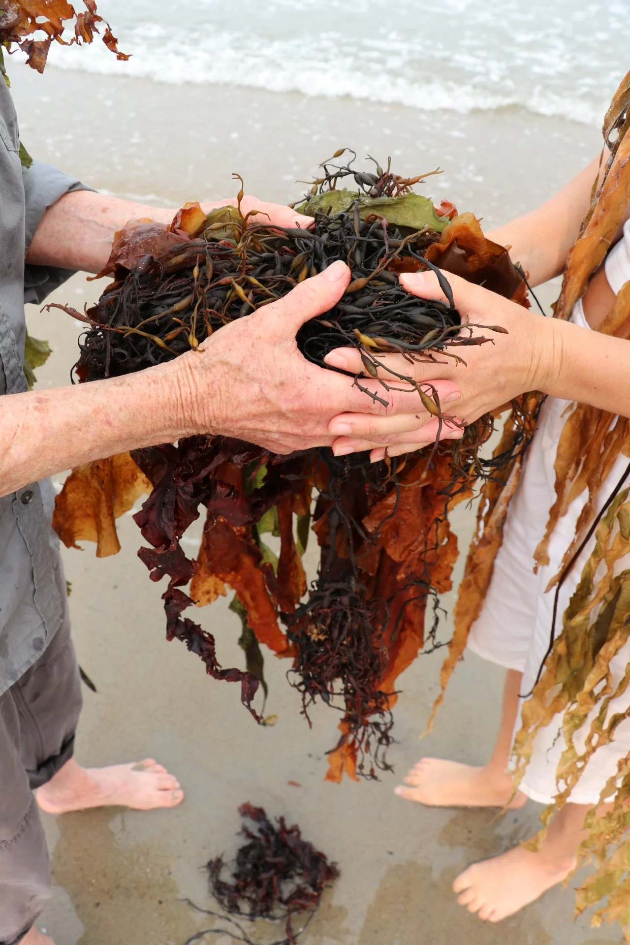 Becoming Ocean: Celeste Roberge &amp; Sophie Anna Gibbings