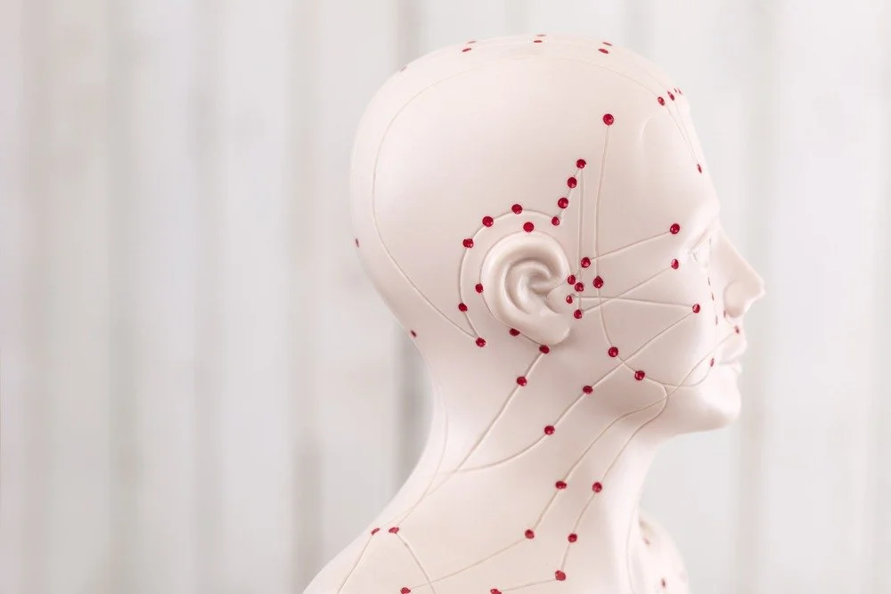 The Kidney Meridian in Chinese Medicine