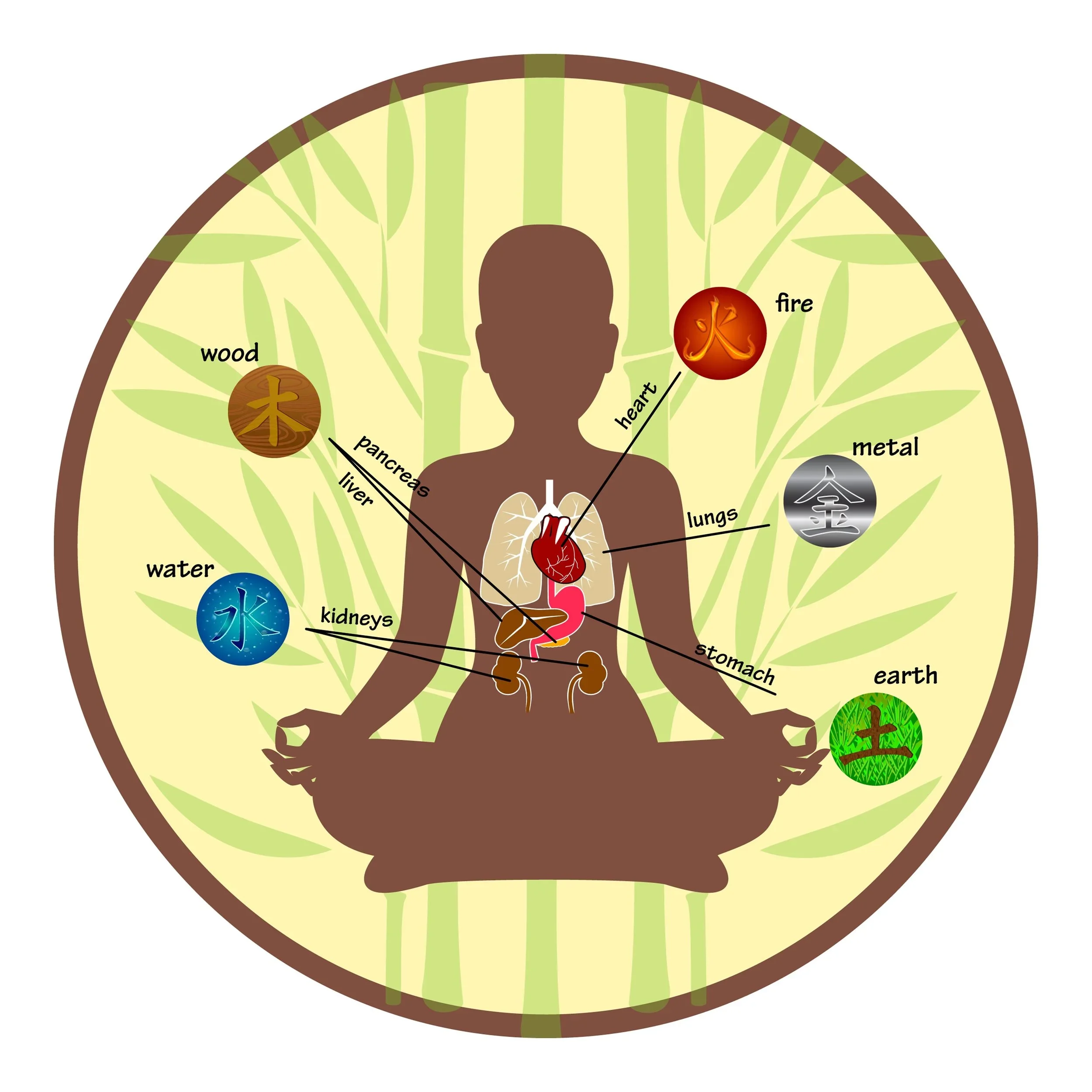 What are the 5 Elements in Chinese Medicine, and How Do They Impact Your Health?