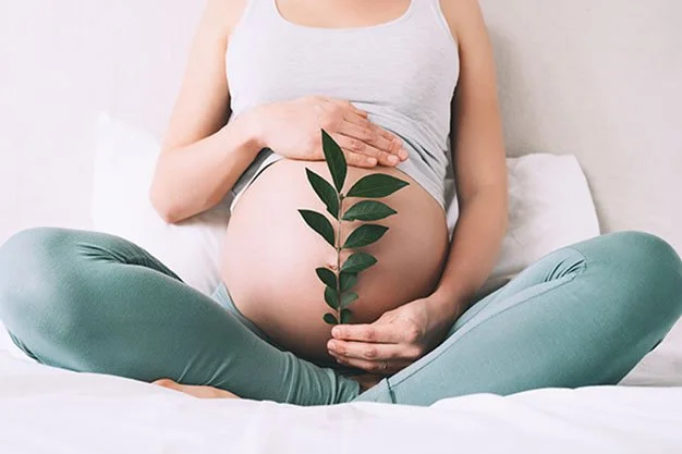 Fertility-Supporting Herbs for Natural Conception: A Chinese Medicine Perspective