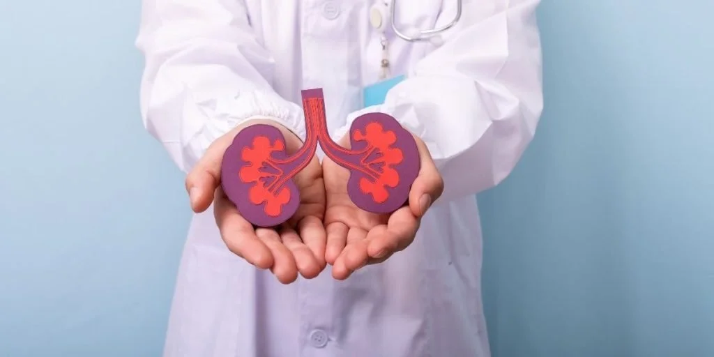 What Is the Kidney Meridian in Traditional Chinese Medicine (TCM), and Why Is It Essential for Your Health?