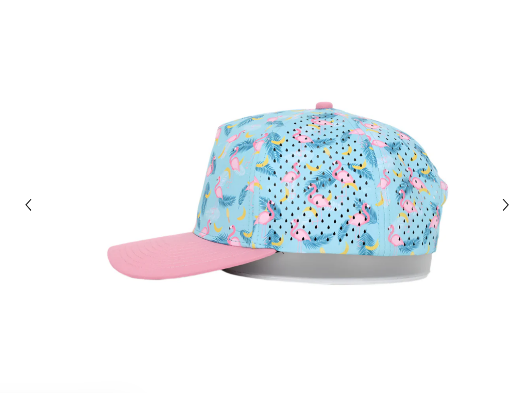 Flamingo2.png