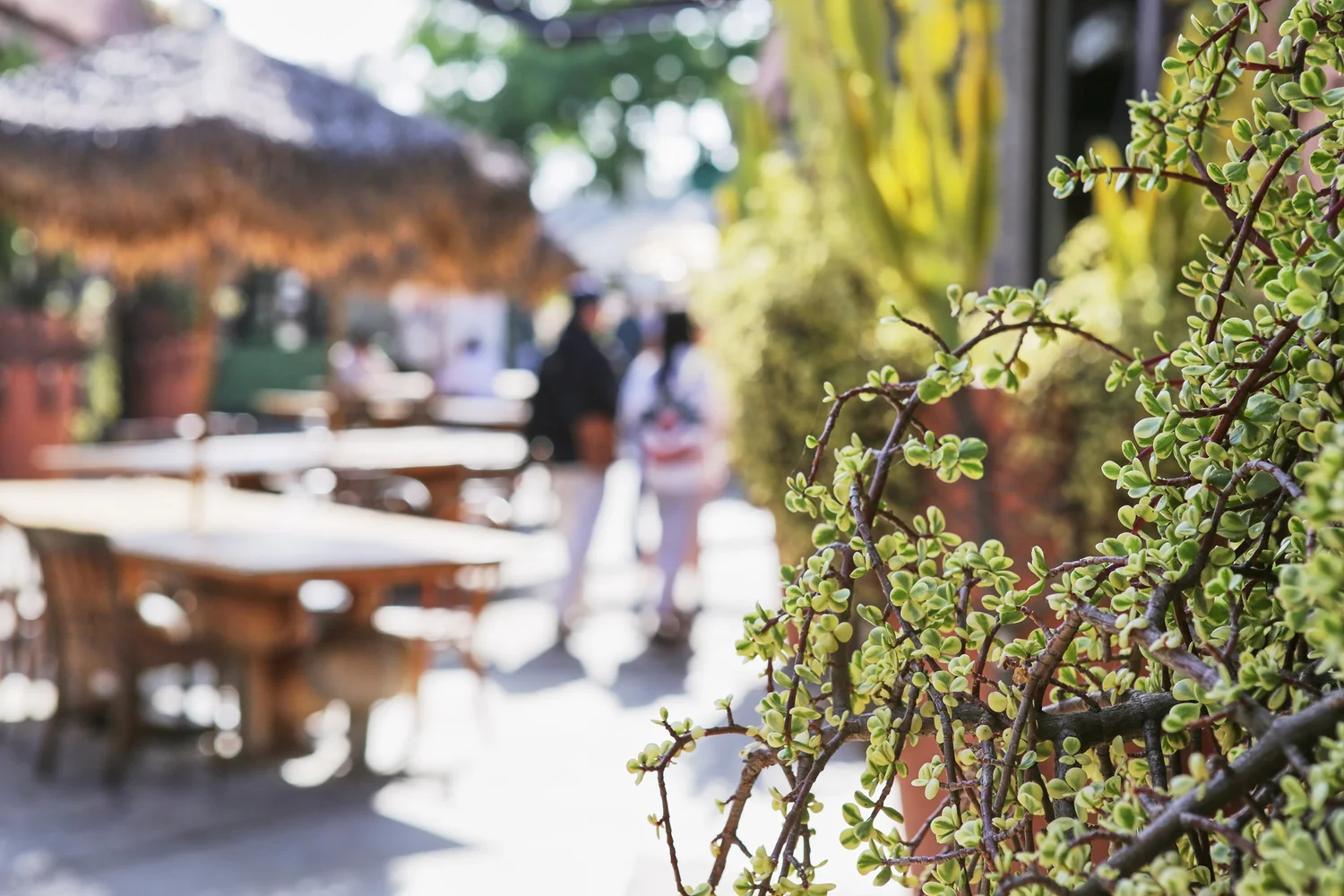 Gallery | Explore our Creative Universe in the heart of Orange County ...
