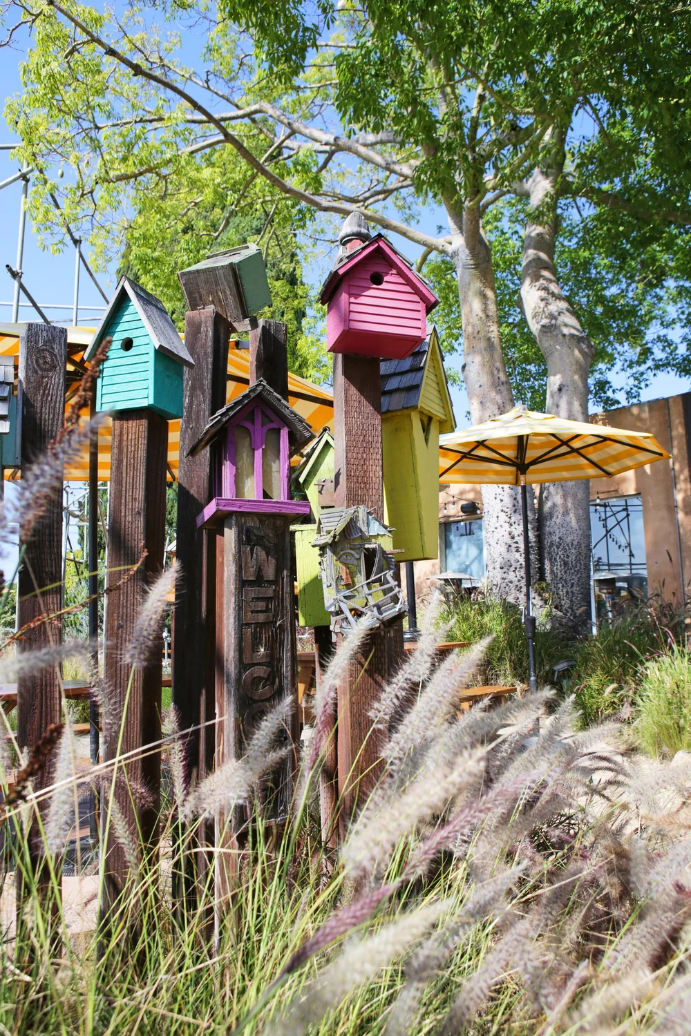 Gallery | Explore our Creative Universe in the heart of Orange County ...