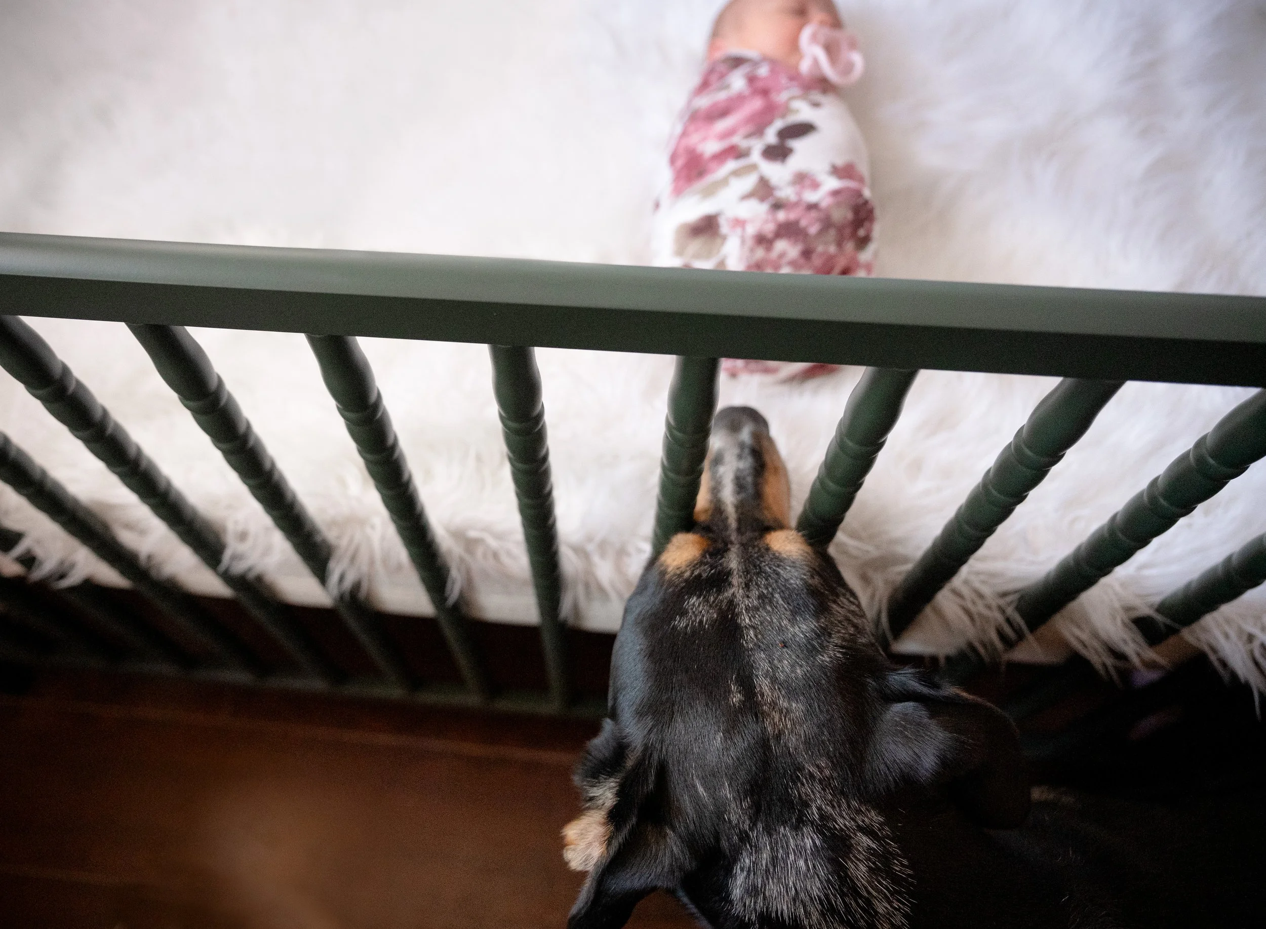 Wolfeboro_NH_Newborn_Photographer_lpphotostudio.jpg