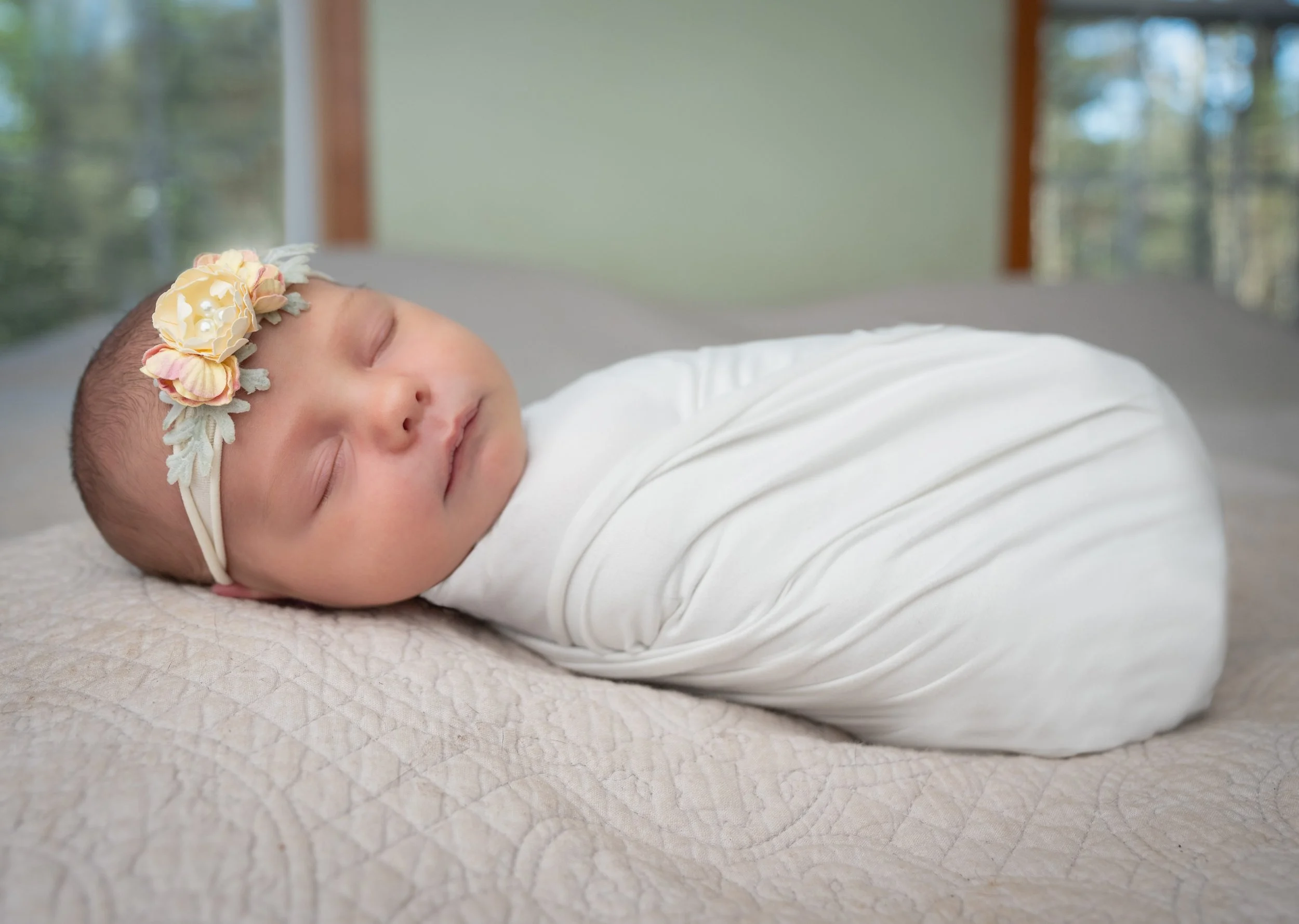 Wolfeboro_NH_Newborn_Photographer_Lpphotostudio1.jpg
