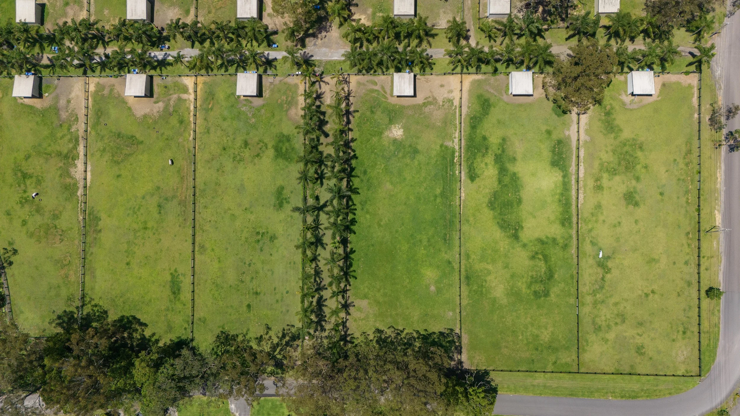 Aerial view of a grassy field divided into four sections, separated by fences, with small structures and palm trees along the top edge, and trees along the bottom edge. A road curves around the bottom right corner.