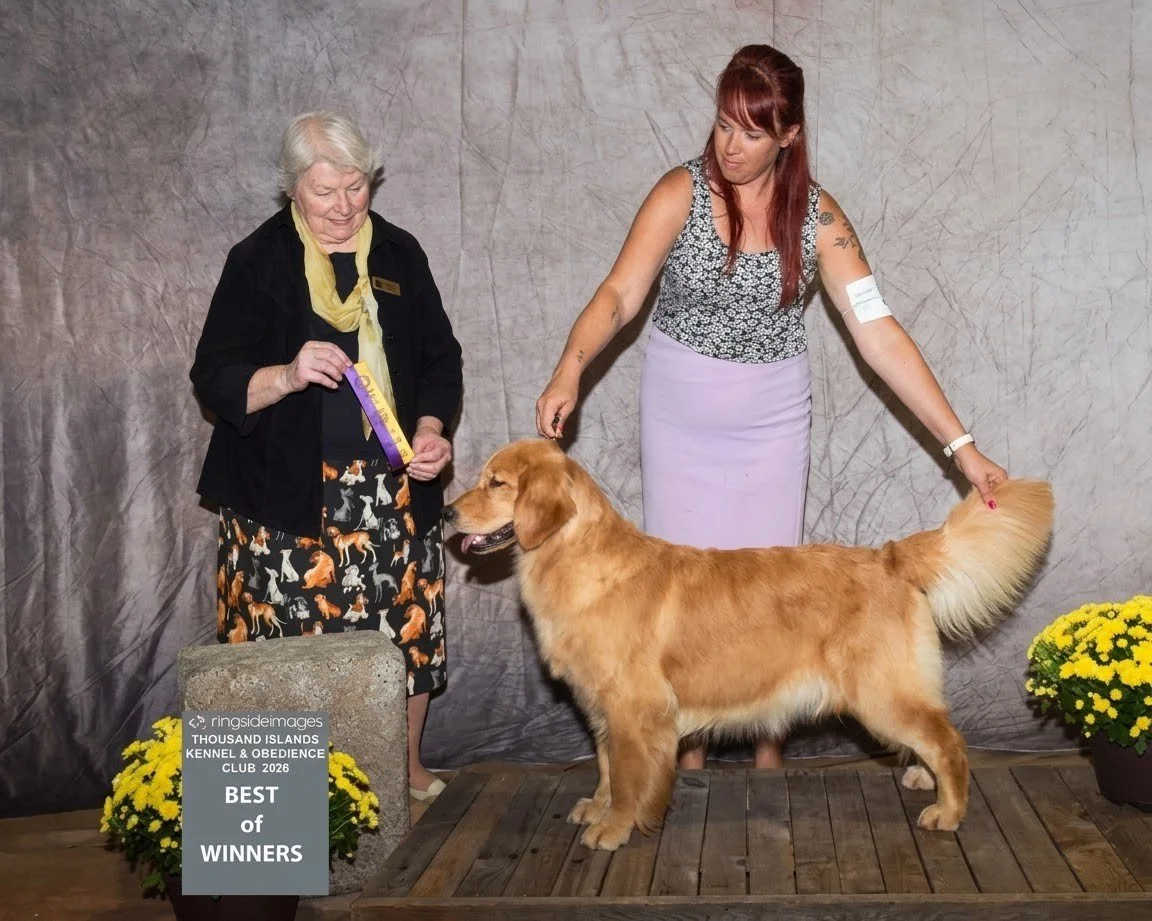 Marly best winners.jpg