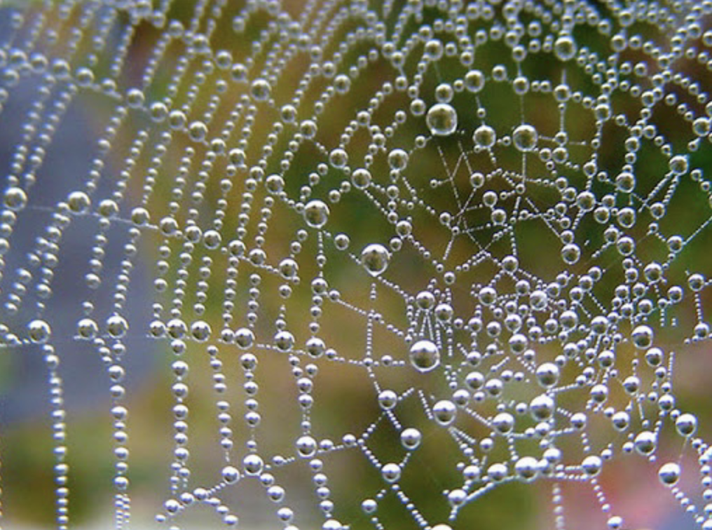 Instead of Divide and Conquer, Love and Connect