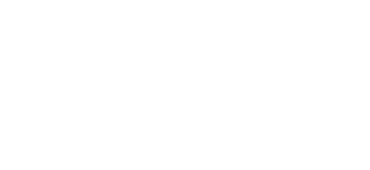 Company logo image Footer