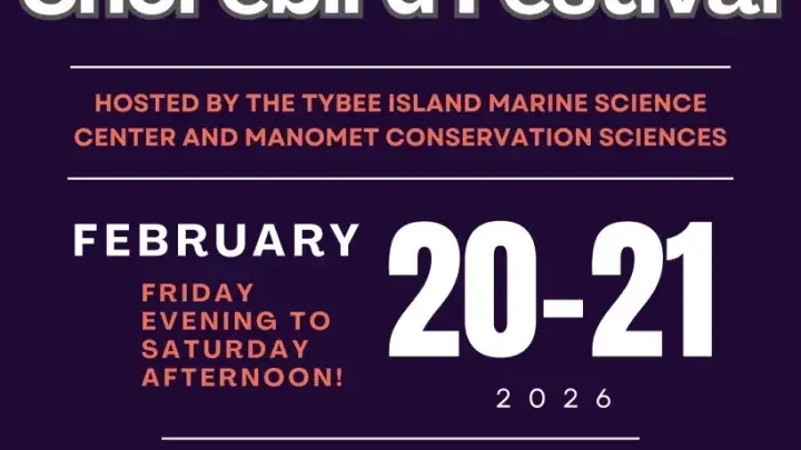 Feb 20-21 - 2nd Annual Tybee Spring Shorebird Festival 