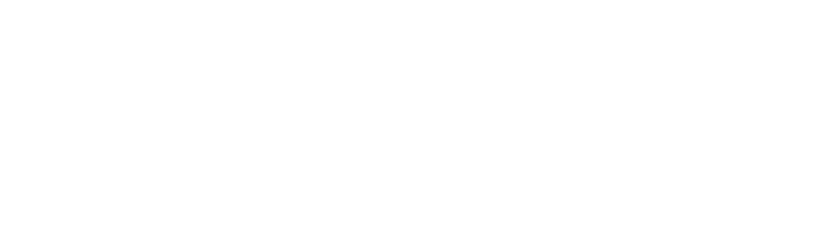 Company logo image Footer