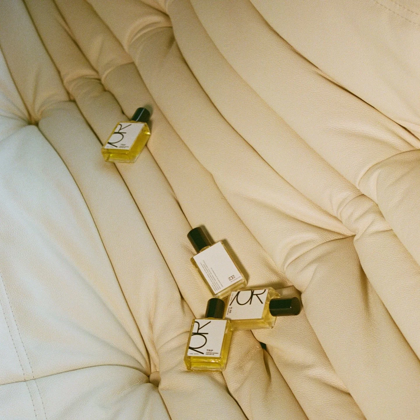 With the holidays approaching, we&rsquo;re opening local pickup in Toronto!

&mdash;Simple, easy, right on time