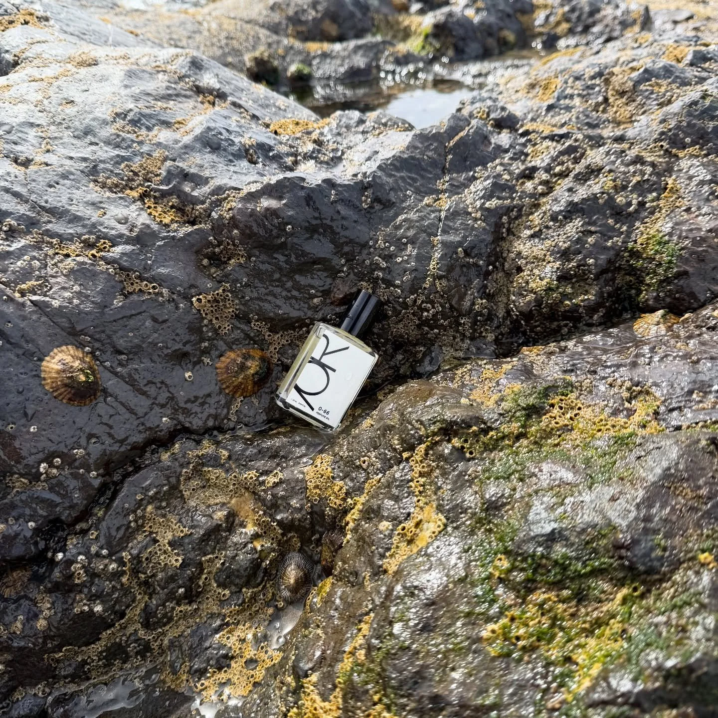 Sea air plus 0&ndash;66