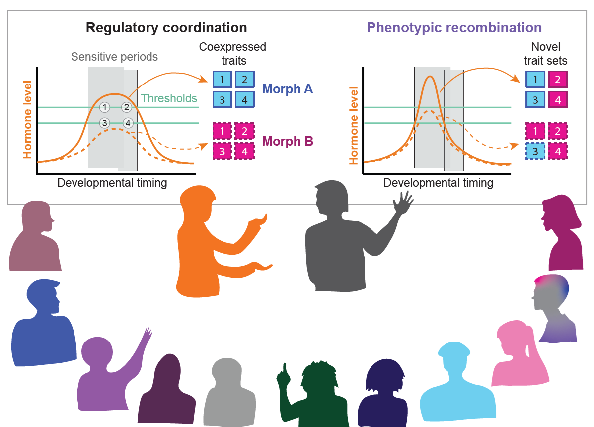 Just published: New teaching resources for reproduction, sex, and gender-related topics