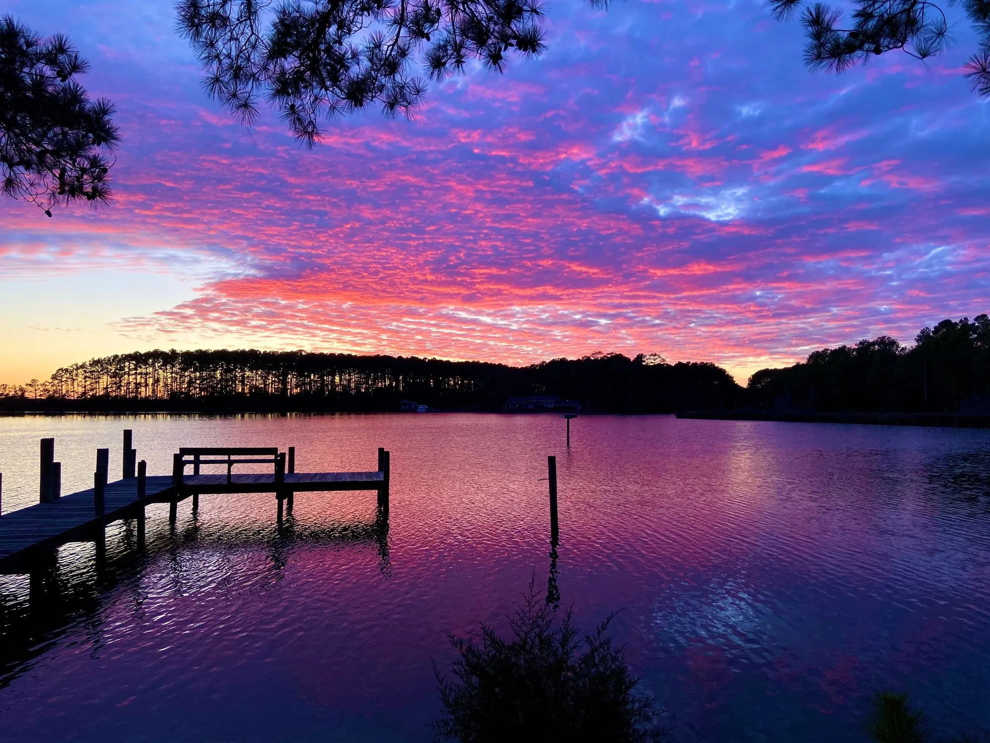 The Hogan Group Real Estate