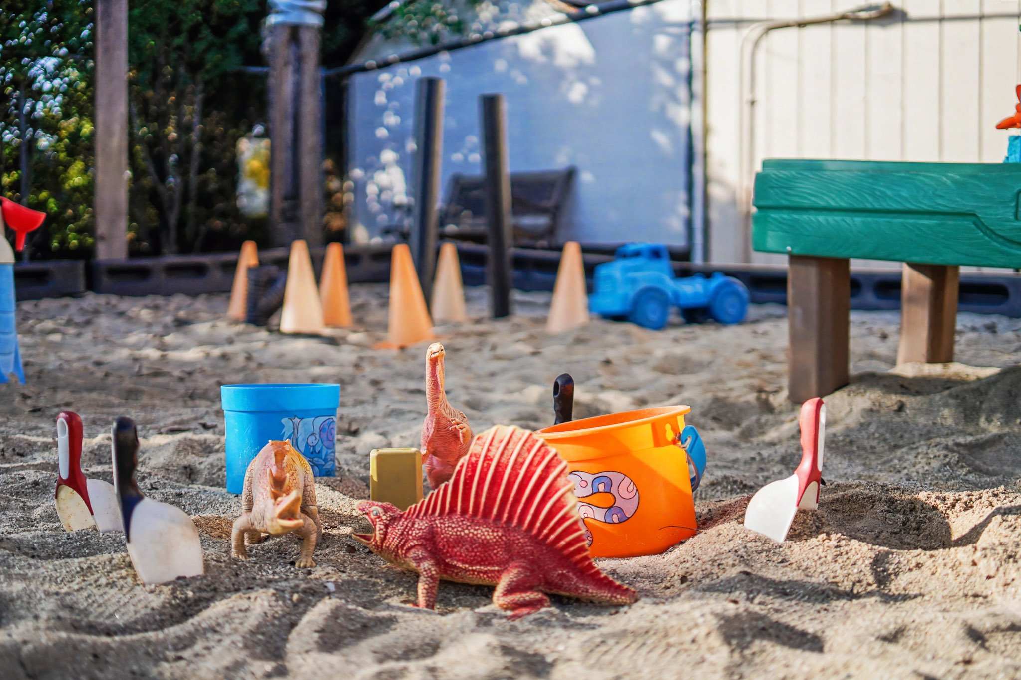 Playground Area Close-ups 2.jpg