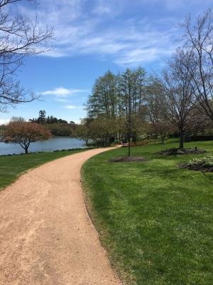 Integrative Medicine