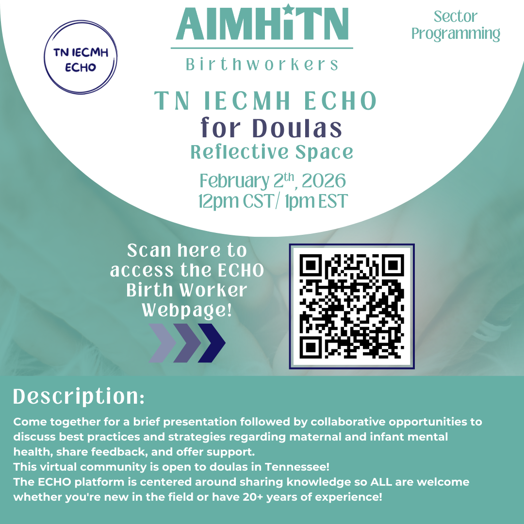 TN IECMH ECHO Doula: Reflective Space