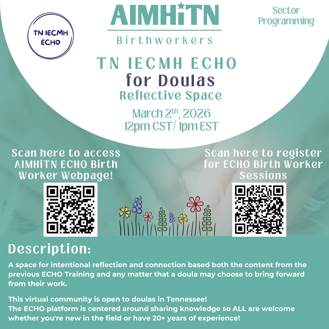 TN IECMH ECHO Doula: Reflective Space