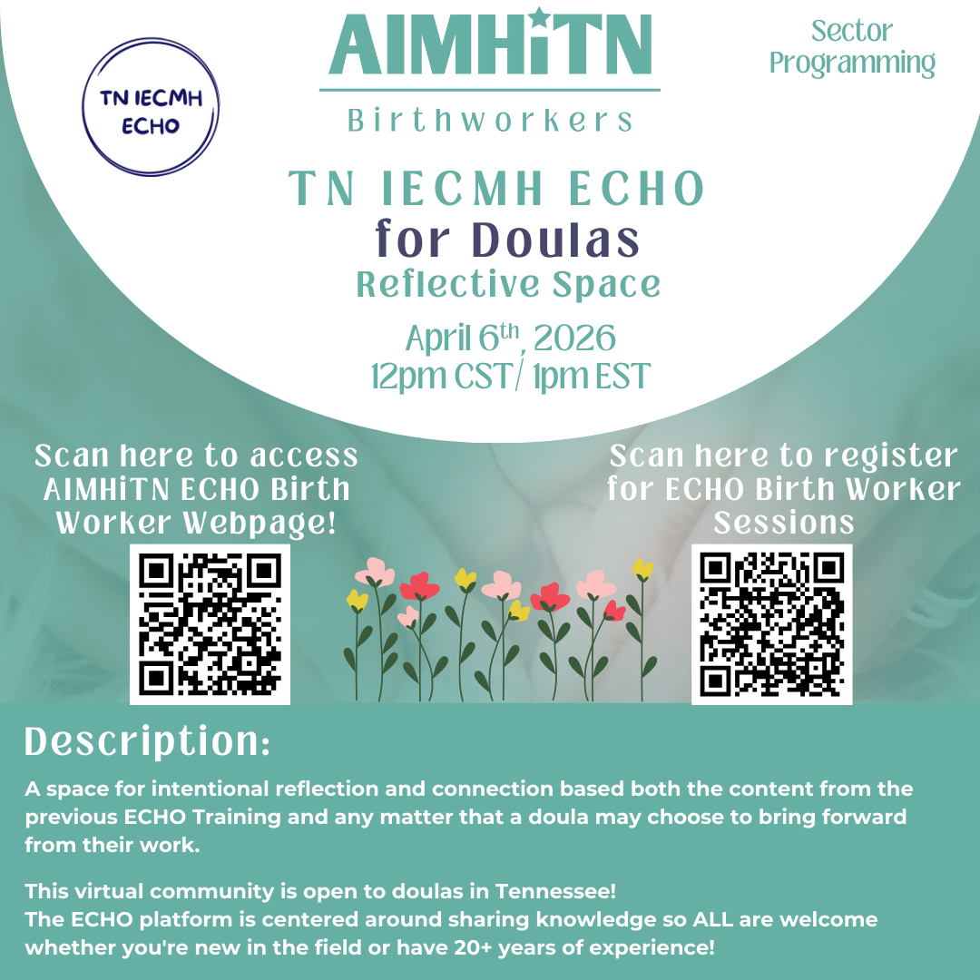TN IECMH ECHO Doula: Reflective Space
